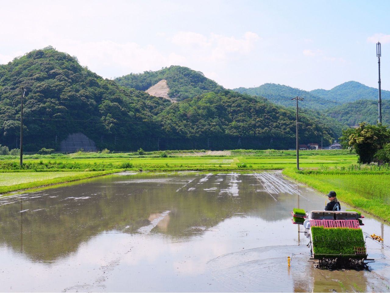 きぬむすめ 5kg《一部送料無料》