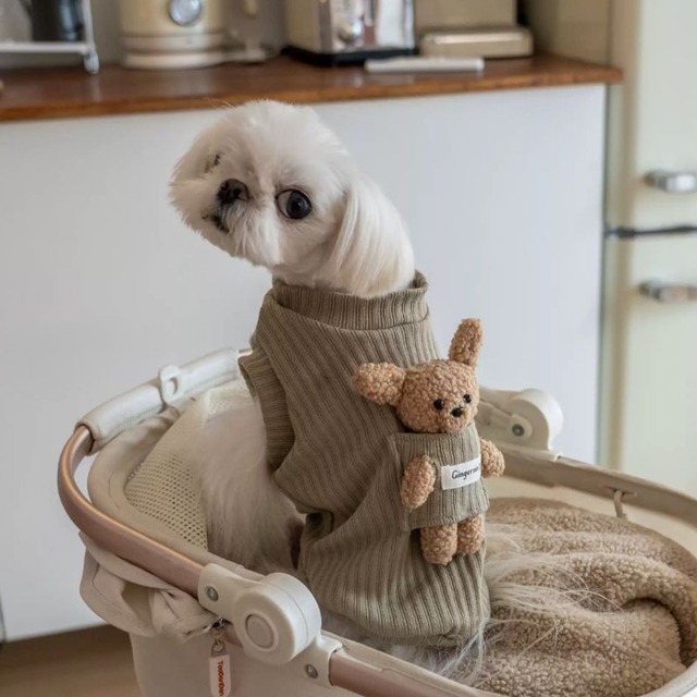 【予約】ベアおんぶニットトップス　犬服　01338
