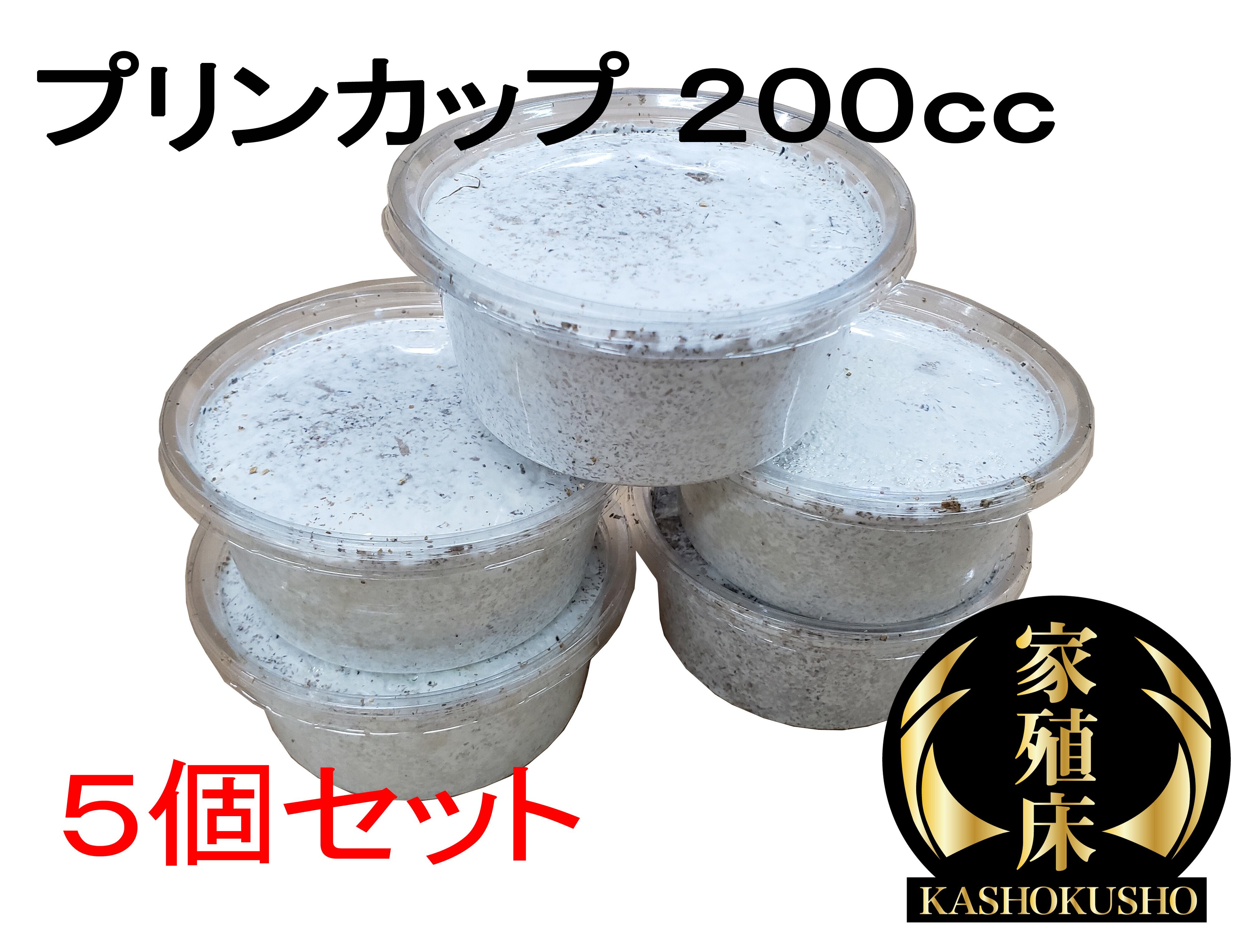 最高級菌糸瓶 800㏄ 18本セット 家殖床金(ゴールド) | 輝心堂 最 最高級菌糸瓶 800㏄ 18本セット 家殖床金(ゴールド) | 輝心堂 最