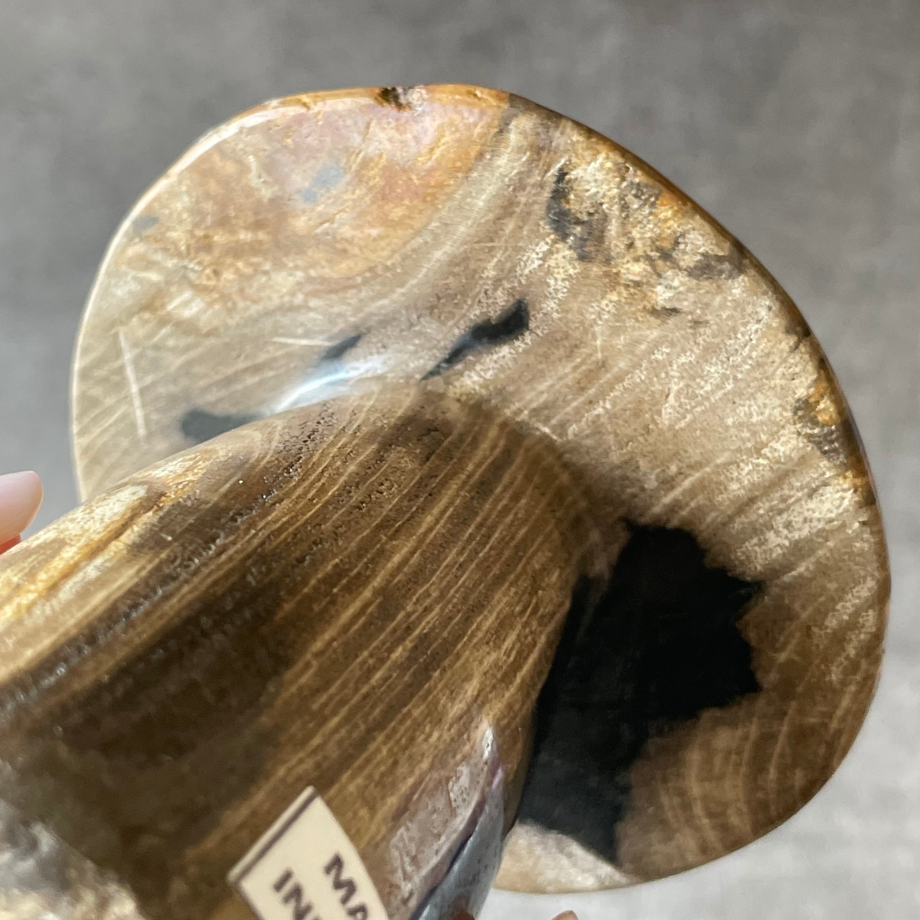 インドネシア産♦︎Petrified Wood ペトリファイドウッド|mushroom