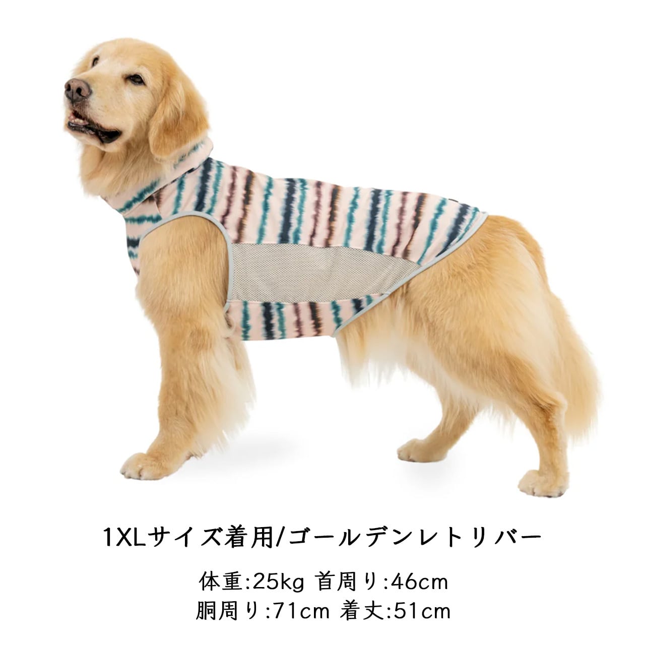 ALPHAICON [アルファアイコン] SUMMER COOLING NECK [26SCN] サマー