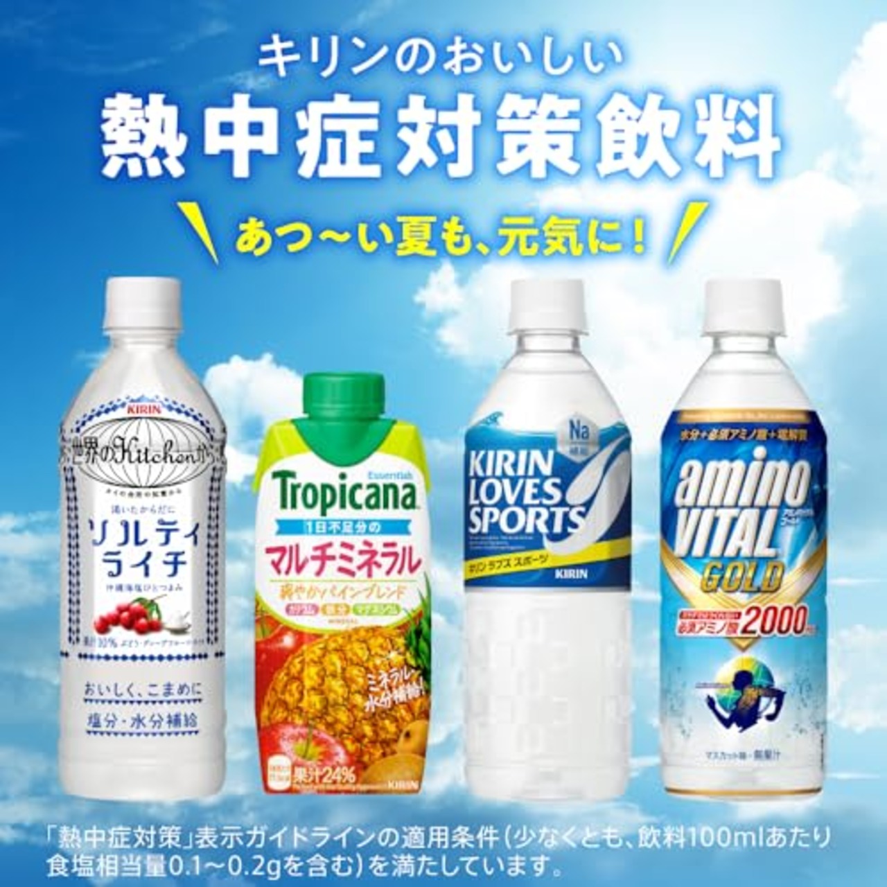 キリン 世界のKitchenから ソルティライチ 500ml 24本 ペットボトル 塩分・水分補給飲料 熱中症対策 スポーツドリンク