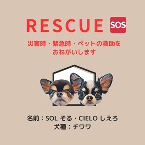 塩ビ素材ステッカー1枚　【レスキュー】　