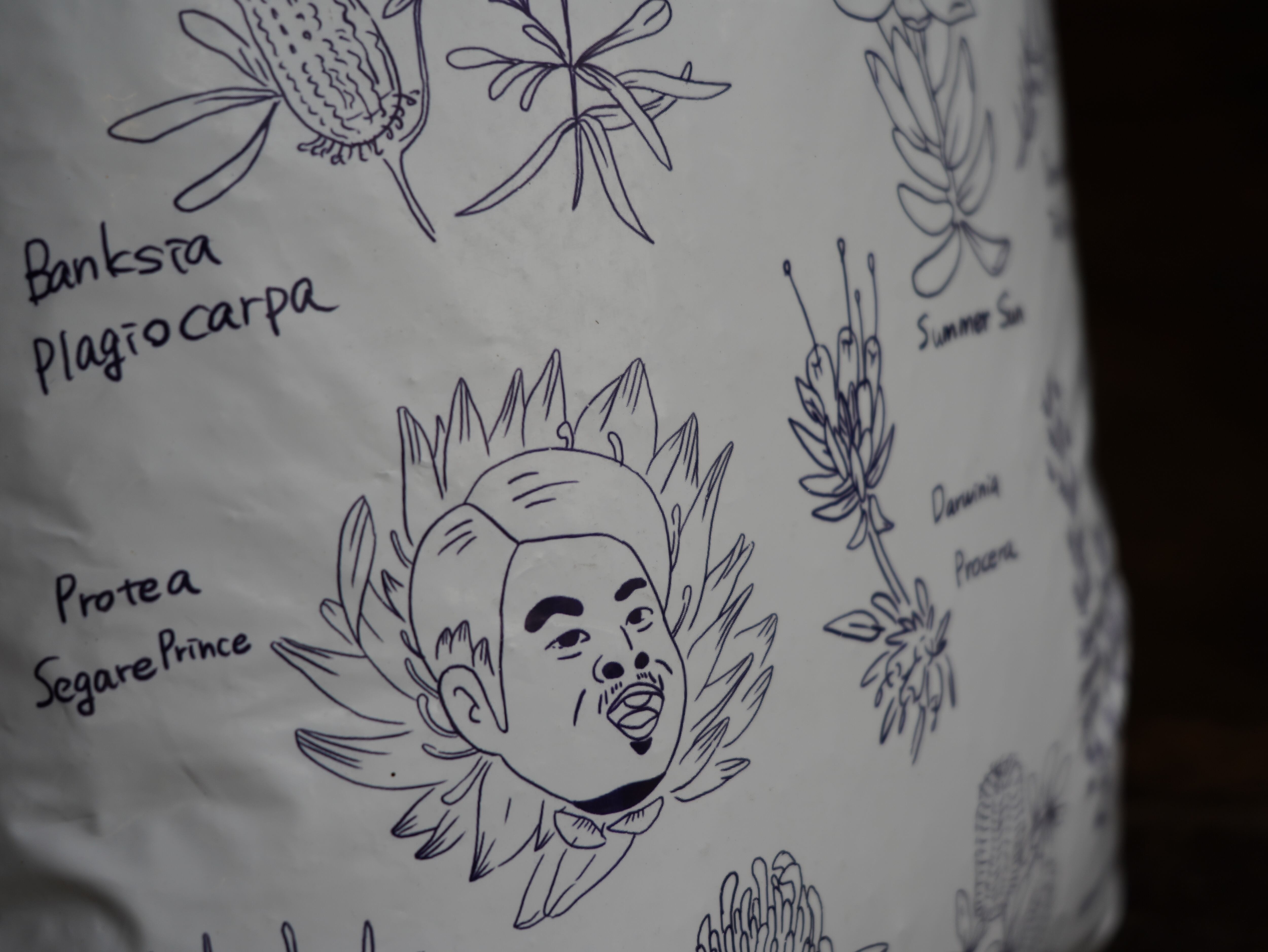 【１袋】オリジナルオージープランツ培養土　１４ℓ