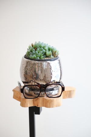 【S】ハオルチア クーペリー/Haworthia cooperi　※陶器鉢付き