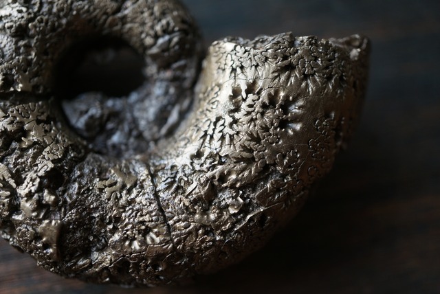 フランス産黄鉄鉱化アンモナイト化石 Lytoceras cornucopiae 1659