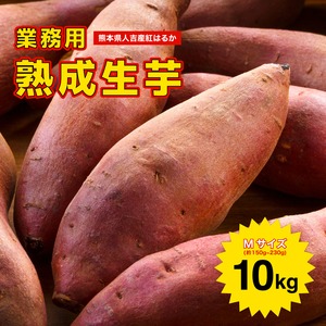 紅はるか 熟成生芋10kg Mサイズ 業務用