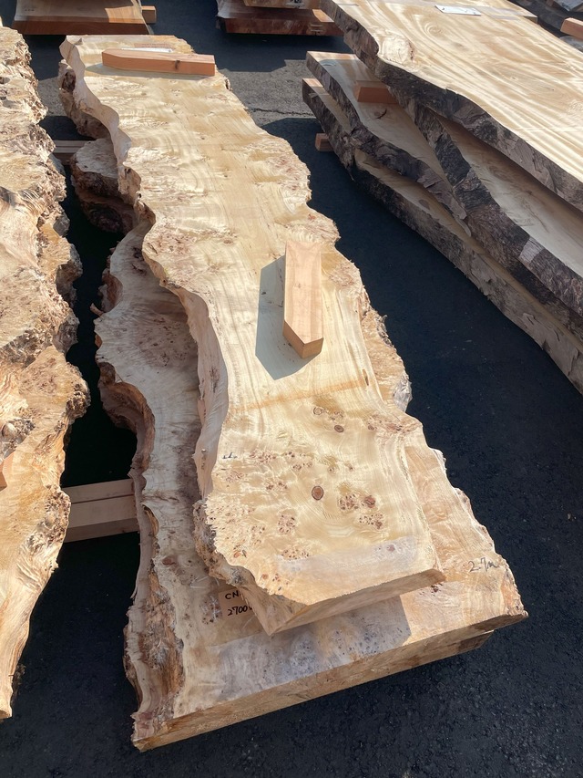 ポプラ_2700×630×65_Web限定_オーダー用原板 C1857