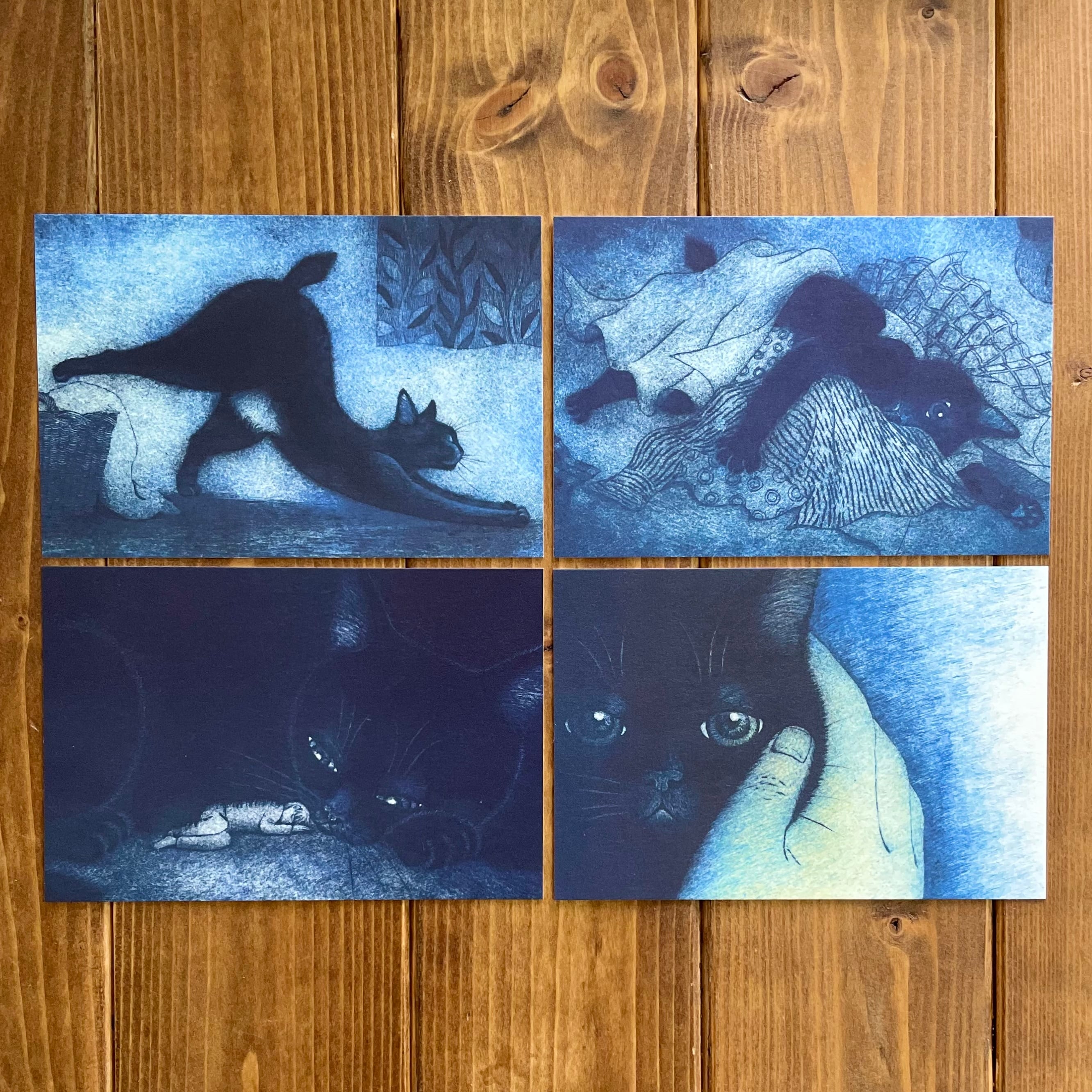 ▸坂本 千明 | 猫雑貨のお店 ネコ曜日