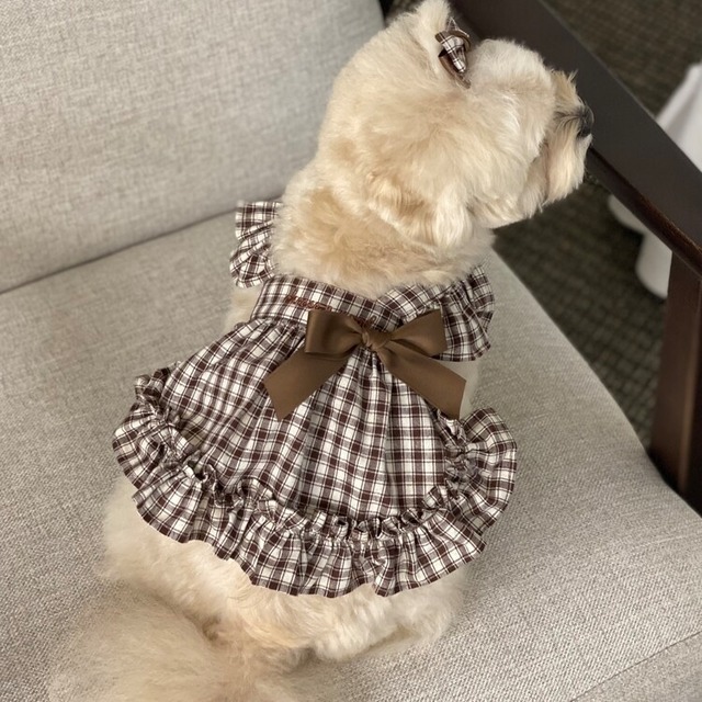 【予約】Maple Bustier / cheese n mood　韓国犬服