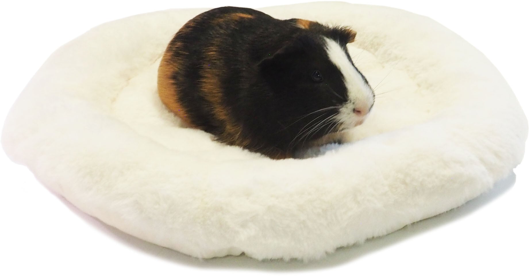 【小動物】 もこもこラウンドマット ホワイト/ブラウン