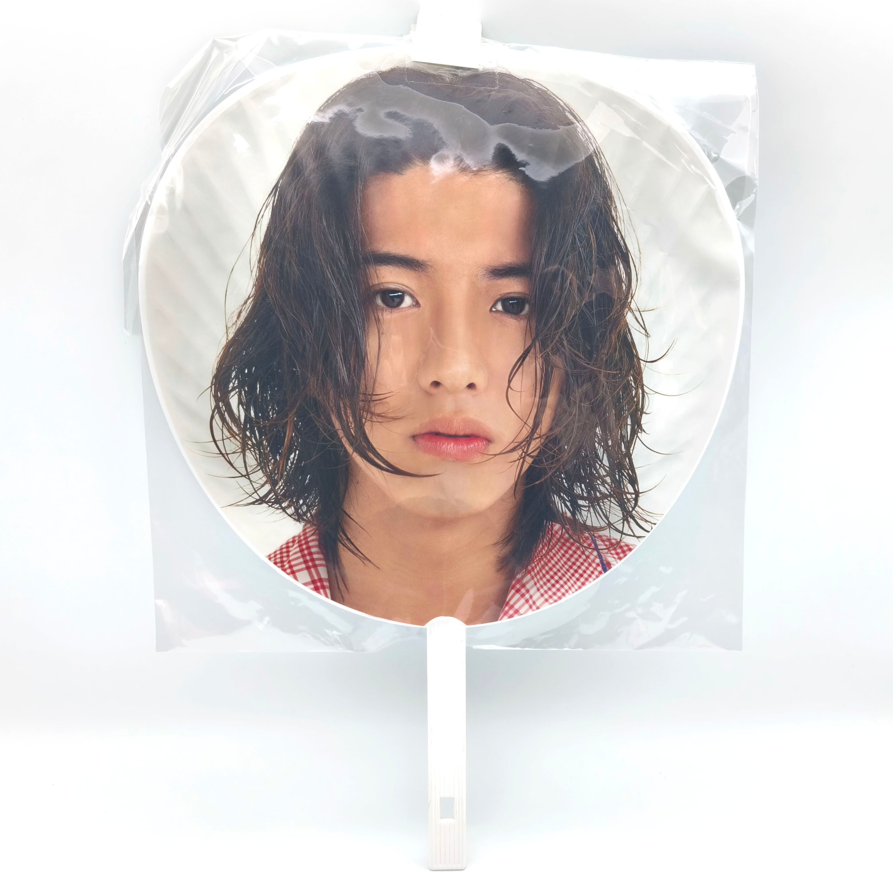 毎日新聞・大相撲優勝額ミニチュア・平成十年五月場所・若乃花・No