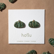 Tiny Pumpkins! : Harvest green