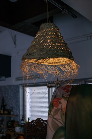 水草のlamp