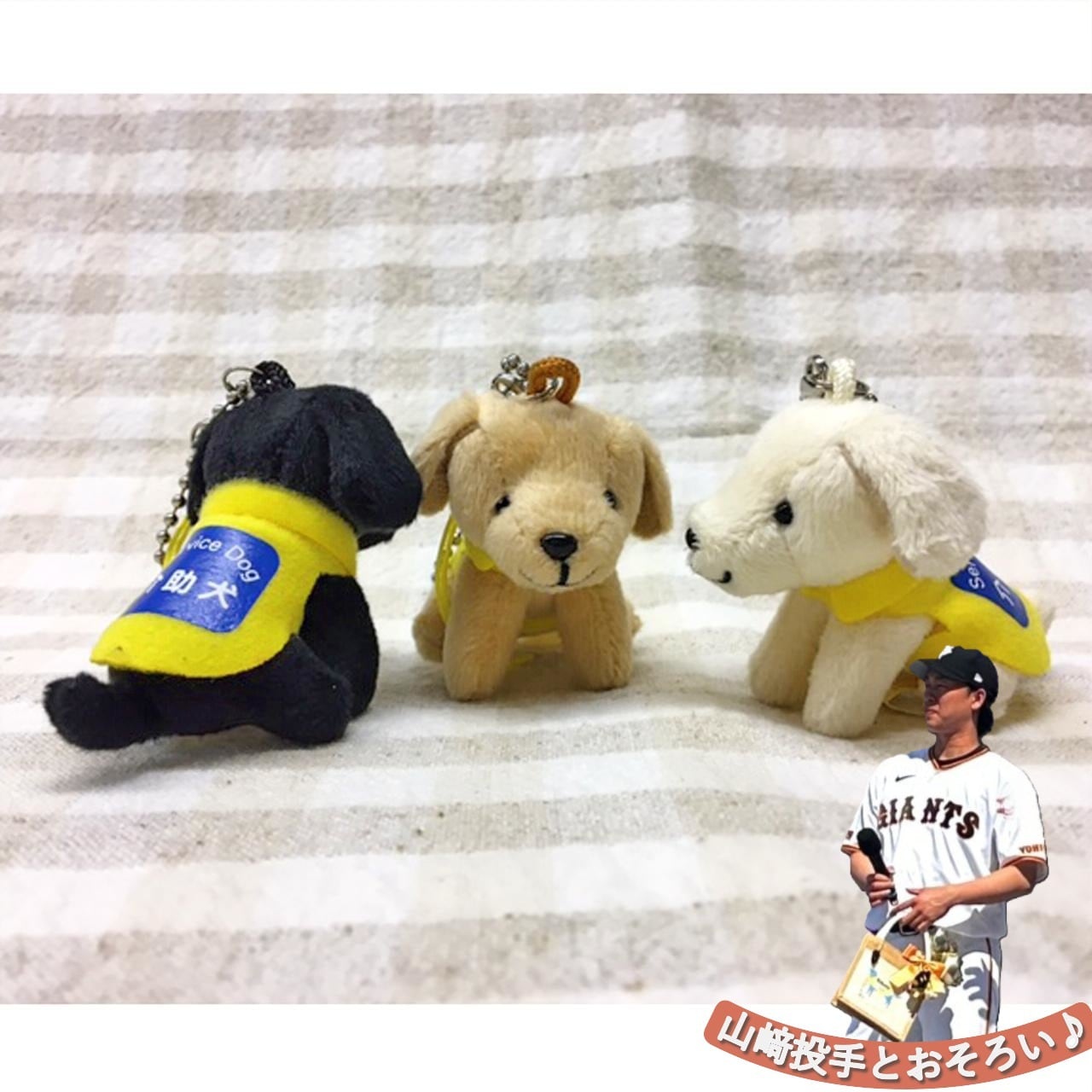携帯チャーム【お座り】 | （社福）日本介助犬協会チャリティグッズ