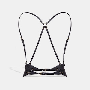 FLEET ILYA   thin hip harness