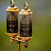 38-kT THE RICH classic100