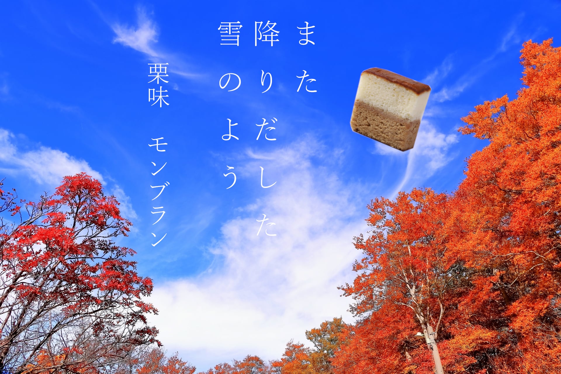 【雪景色パッケージ】また降りだした雪のよう 栗味 モンブラン 8個入