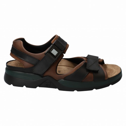 SHARK FIT 1372366 DARK BROWN