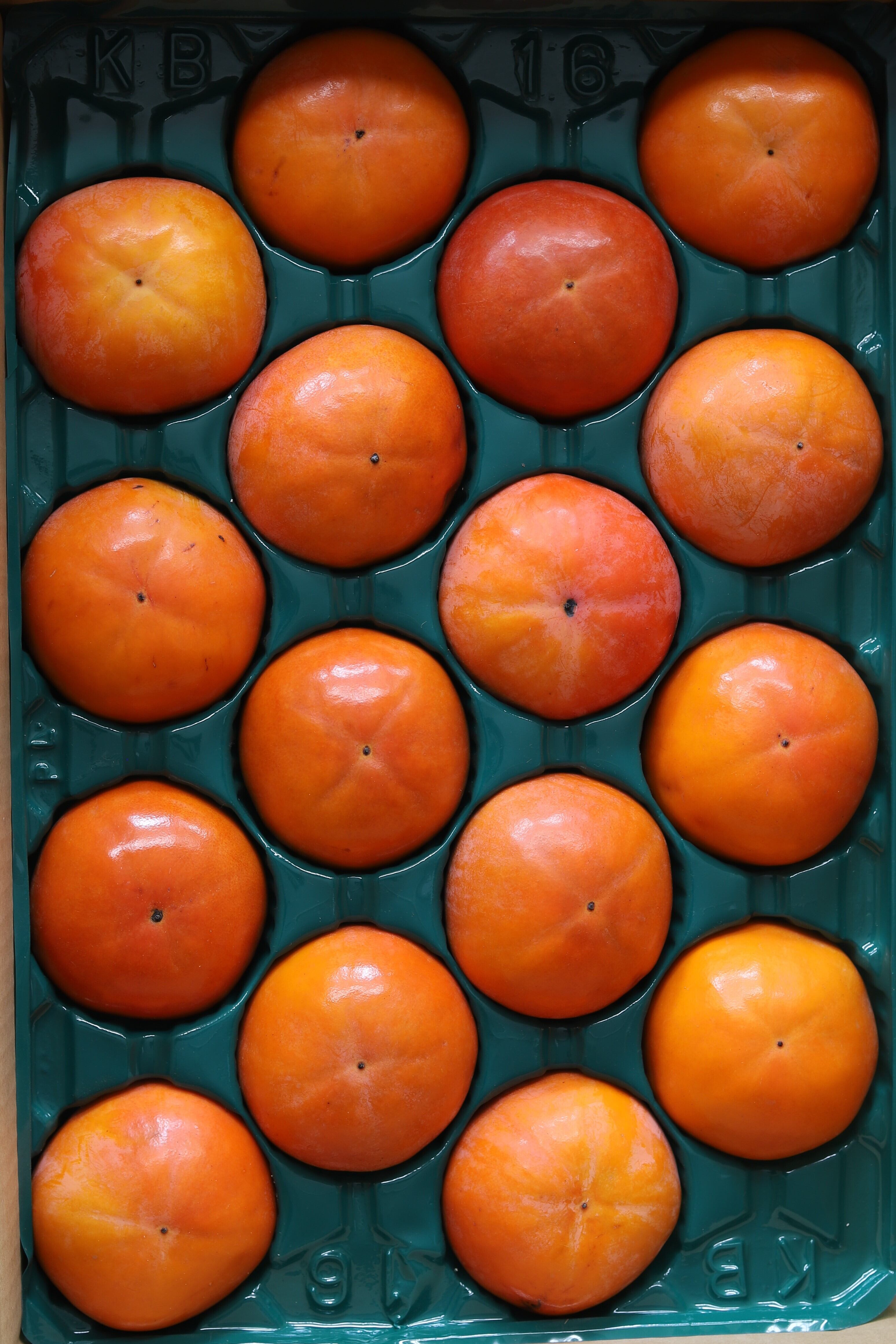 市川農園　樹上完熟富有柿　【恵】4kg箱
