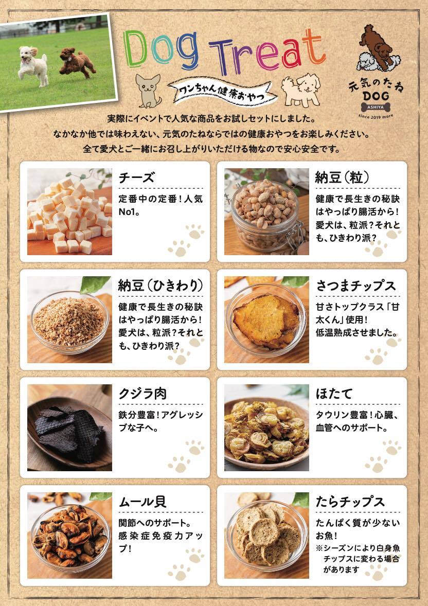 犬 おやつ 無添加 お試し 詰め合わせ 全15種類 送料無料 犬 おやつ 無添加 お試し 詰め合わせ 全15種類 送料無料