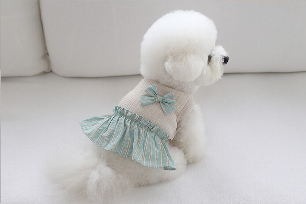 【予約】[near by us] Ribbon knit top (green beige) | LUANA DOG powered by BASE
