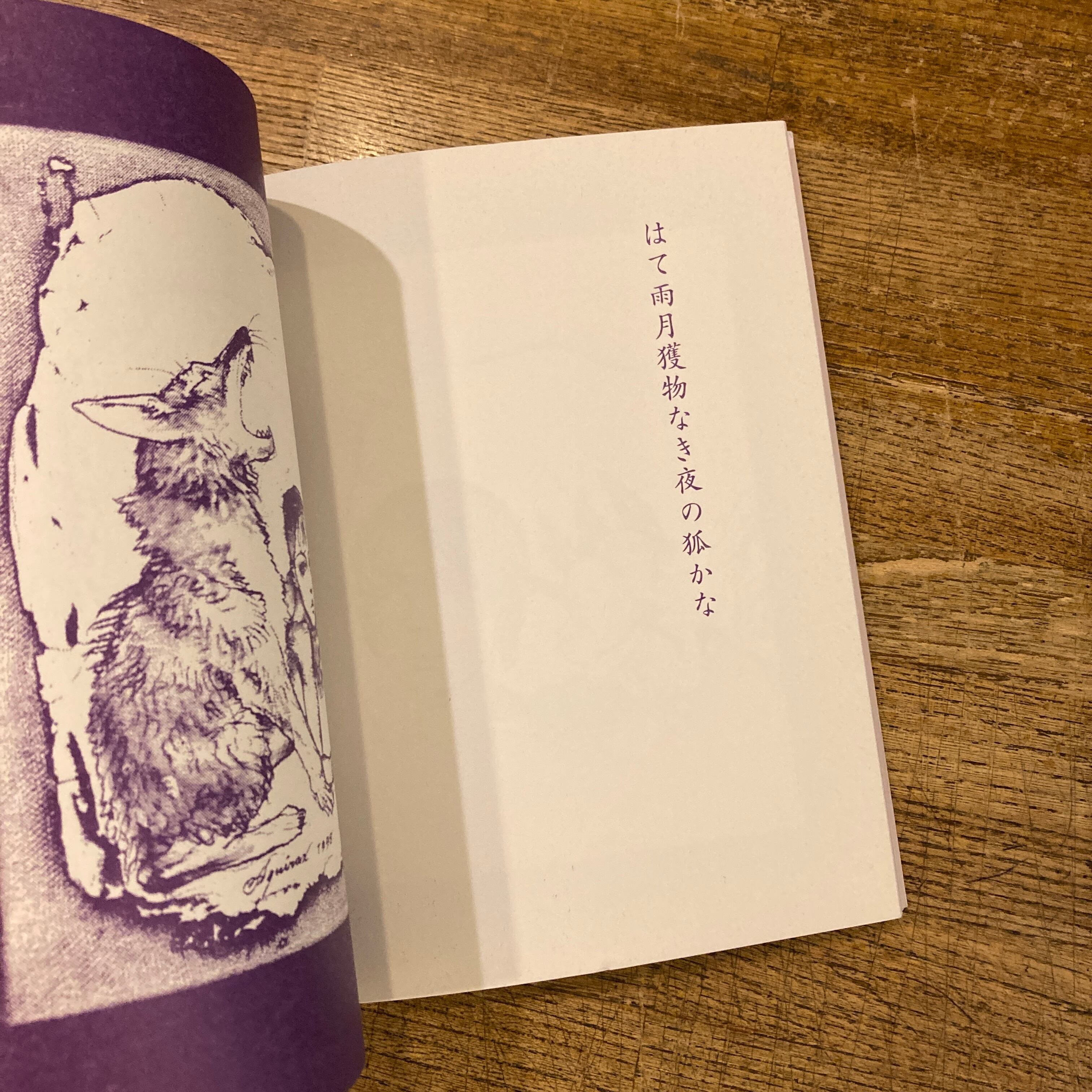 少女倶楽部 / 宇野亜喜良 | 百年