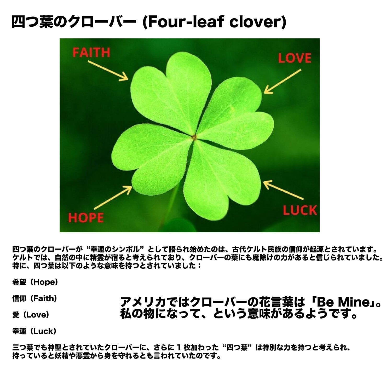 LUCKY CHARMS CALIFORNIA 4 LEAF CLOVER KEYCHAIN 幸運の4つ葉の