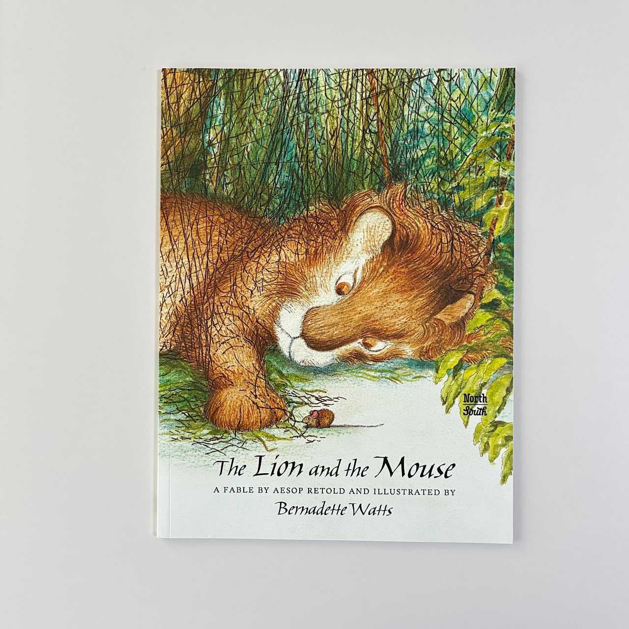 ◇ 動物・植物・虫たち | 素敵な洋書の絵本屋さん Read Leaf Books