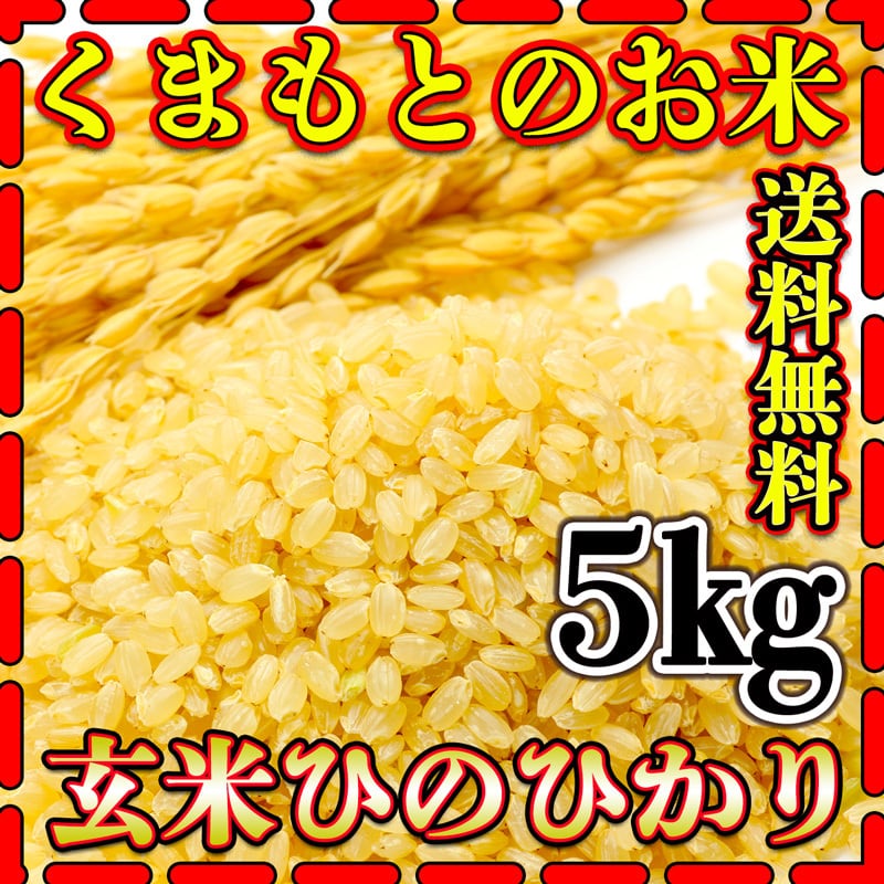 新米　ヒノヒカリ　5kg　熊本県産　くまもとのお米販売店　玄米　富田商店　お米　送料無料　くまもとのお米　令和5年産　米　5kg1個　ひのひかり　BASE店