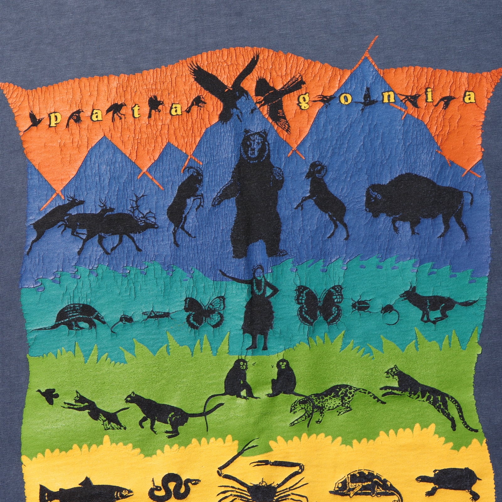 美品 M 絶滅危惧種 Patagonia ネイビーブルー USA パタゴニア Tシャツ