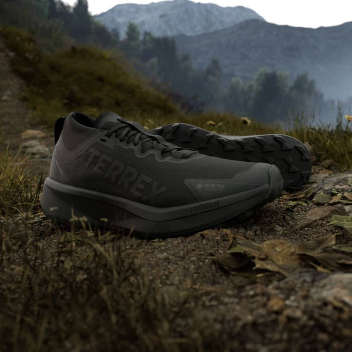 ADIDAS (ｱﾃﾞｨﾀﾞｽ) -TERREX AGRAVIC GORE-TEX (ﾃﾚｯｸｽ ｱｸﾞﾗｳﾞｨｯｸ ｺﾞｱﾃｯｸｽ