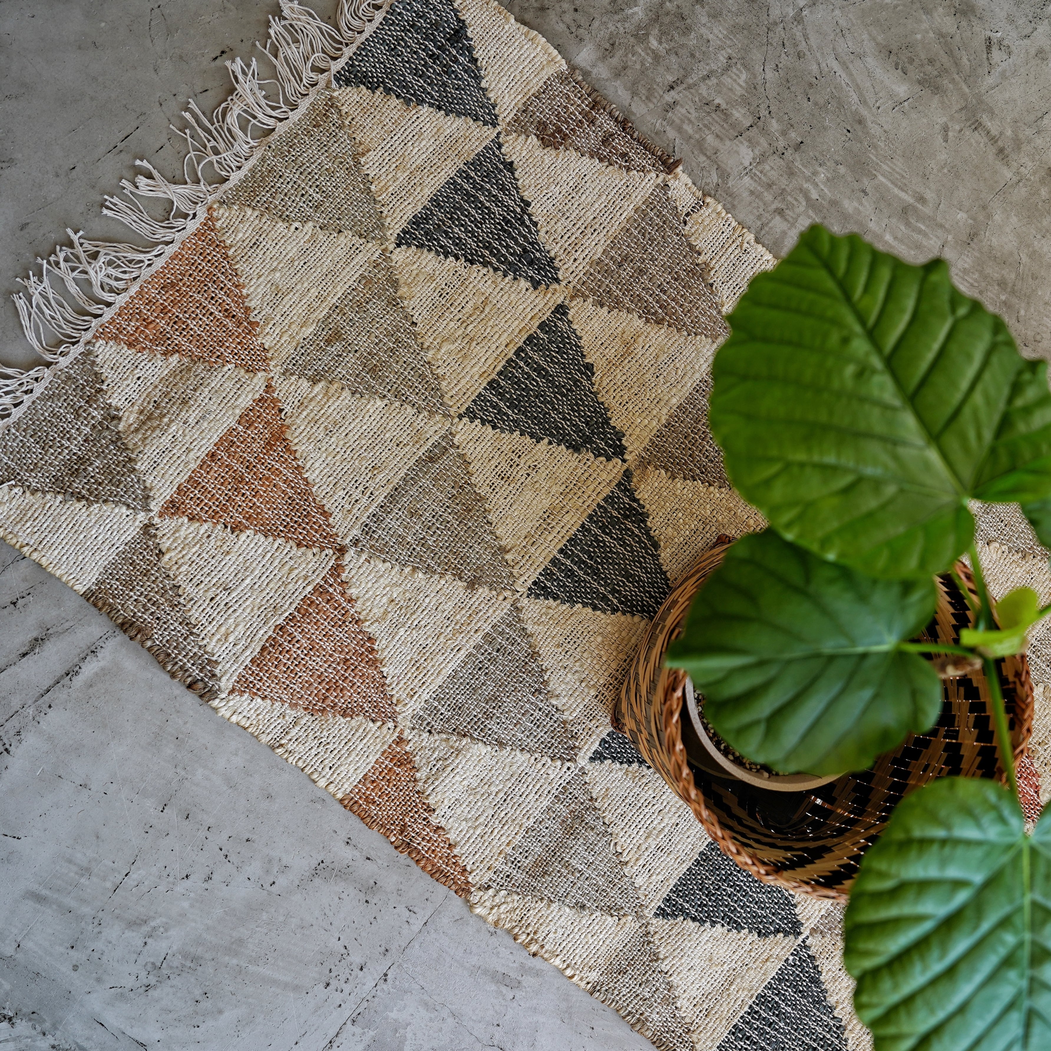 インドキリムラグ 60cm×90cm