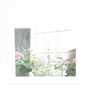 仙谷 朋子  「   fragrance notes  -fleurs- 」