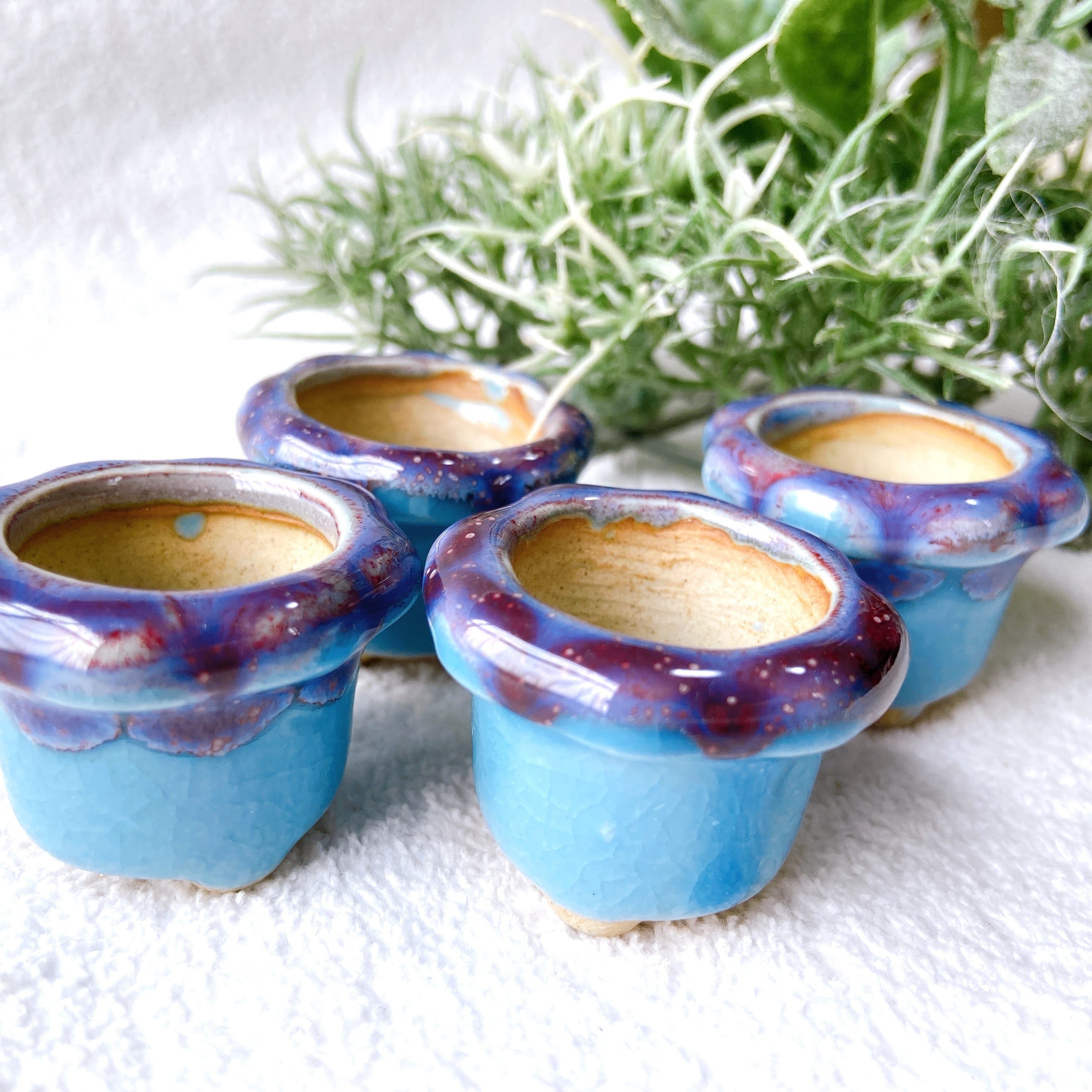 水色のミニチュア陶器植木鉢 4点セット】シンプルな形で植物がかわいく