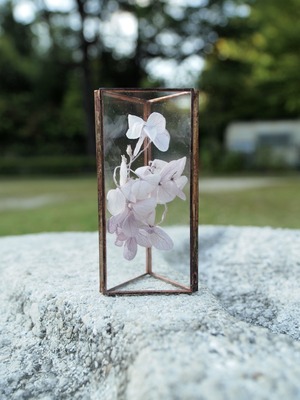 hacomidori　三角植物標本（中）　あじさい（purple）【hcm-sh-aj-m-pr】