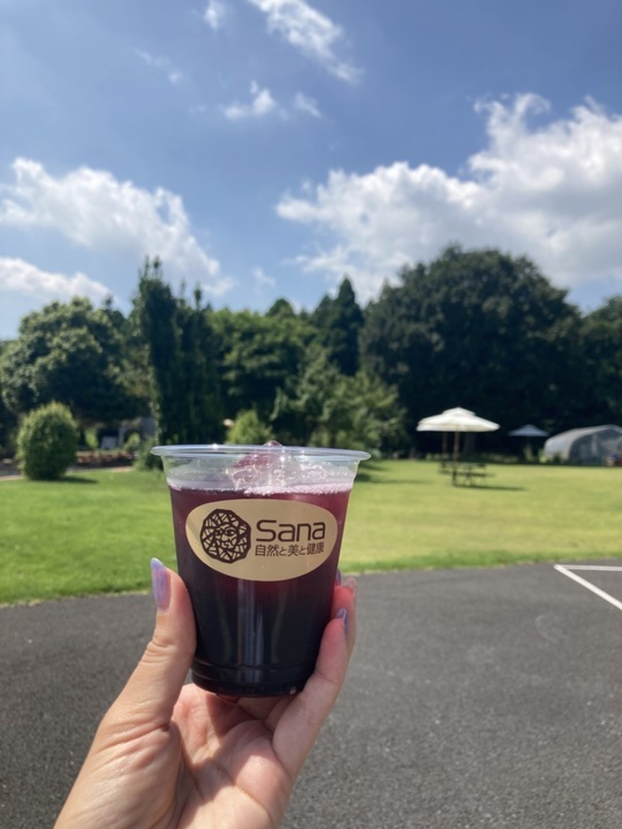 【期間限定特別セール】スウィートカシス120ml