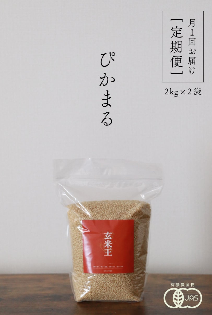 定期配送】ぴかまる（玄米）2kg×2袋｜熊本県熊本市産｜五ッ星お米マイ
