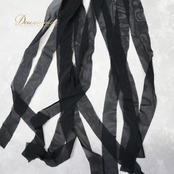 ベリーダンス 衣装 まとめ売り 全2点 セット ズボン パンツ フレアパンツ Ms.belly 黒 レース 花柄 練習 レッスン 伸縮 ストレッチ メッシュ生地 ボトムス かわいい 華やか ダンス衣装 ブラック系