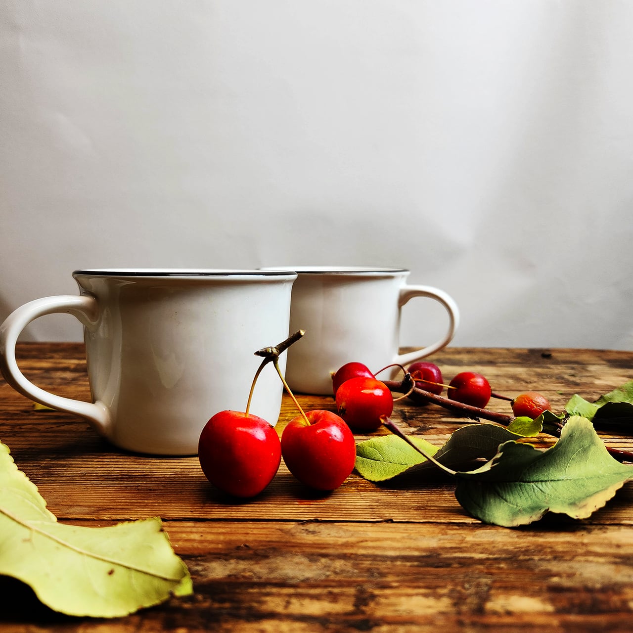 猪原朱乃 リムボウル 陶器深皿 2枚セット 猪原朱乃 | STORES