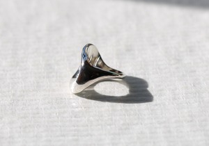 pond ring