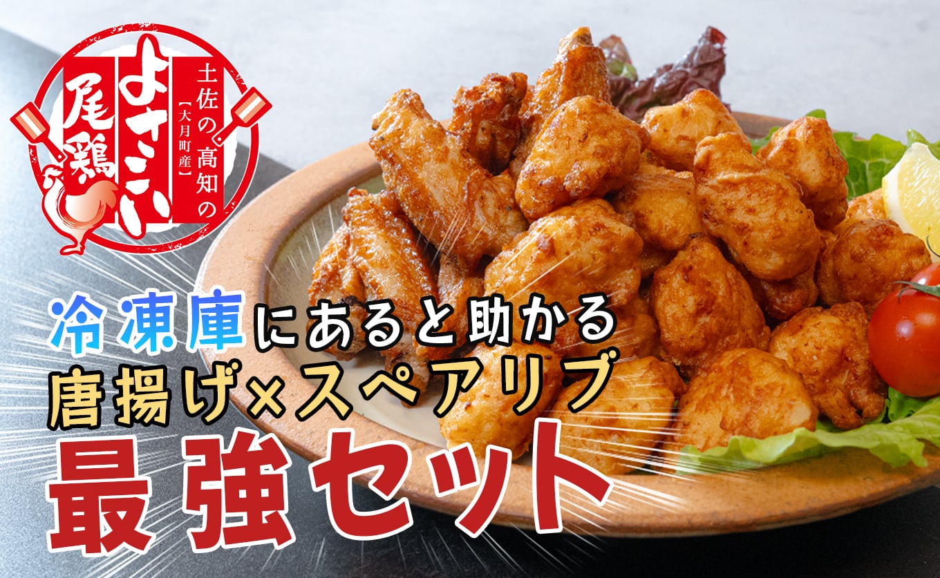 大月町のブランド鶏 よさこい尾鶏のスペアリブ・唐揚げセット | 高知県