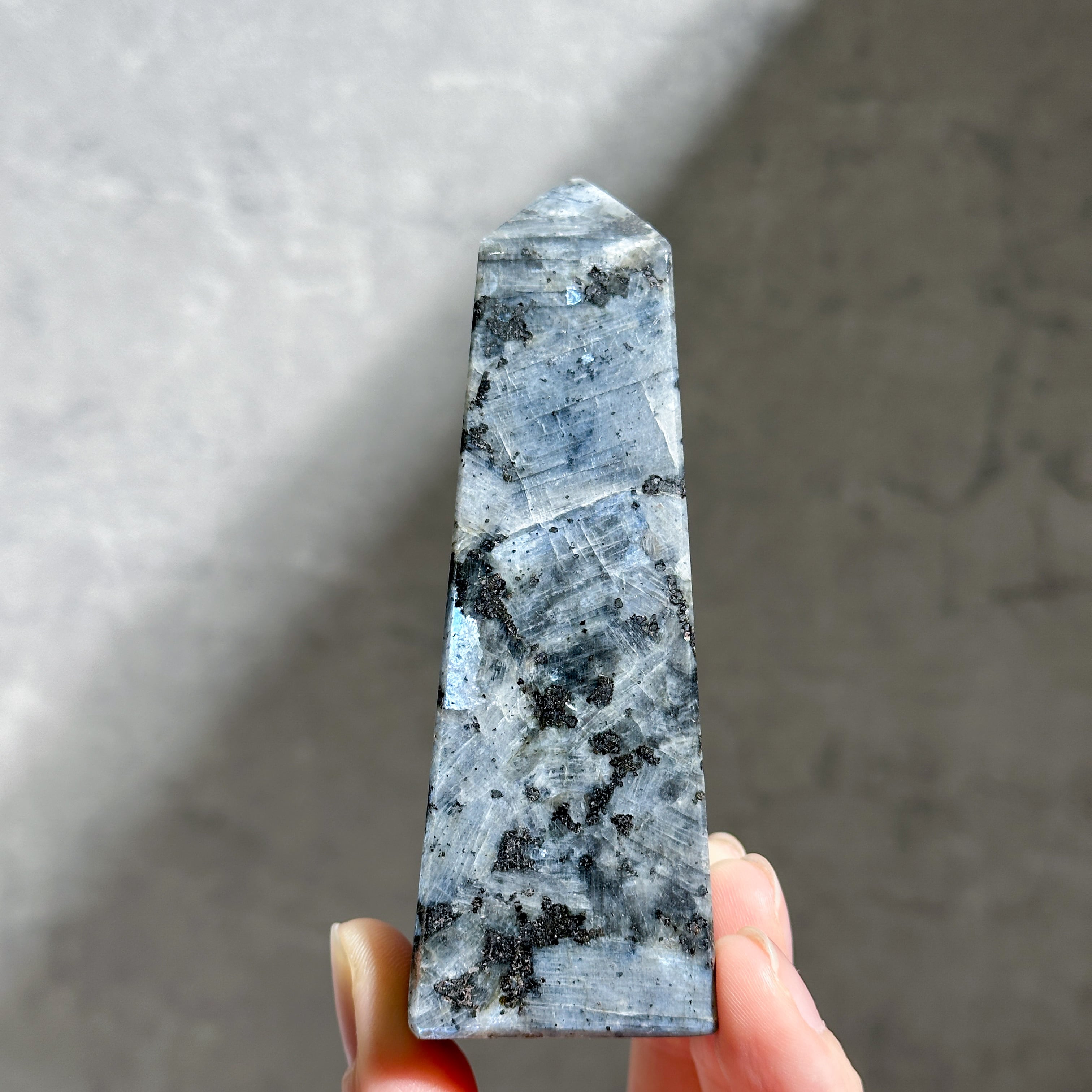 【極美品・50size】Oval Larvikite ラルビカイト CTHY RING [LARVIKITE] | CTHY