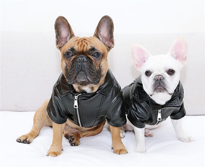 送料無料 Km290jk ペットウェア ライダースジャケット 小型犬 中型犬 ジャンパー 犬用品 ドッグウェア ペット服 ペットウェア Dearkm フレンチブルドック孔明