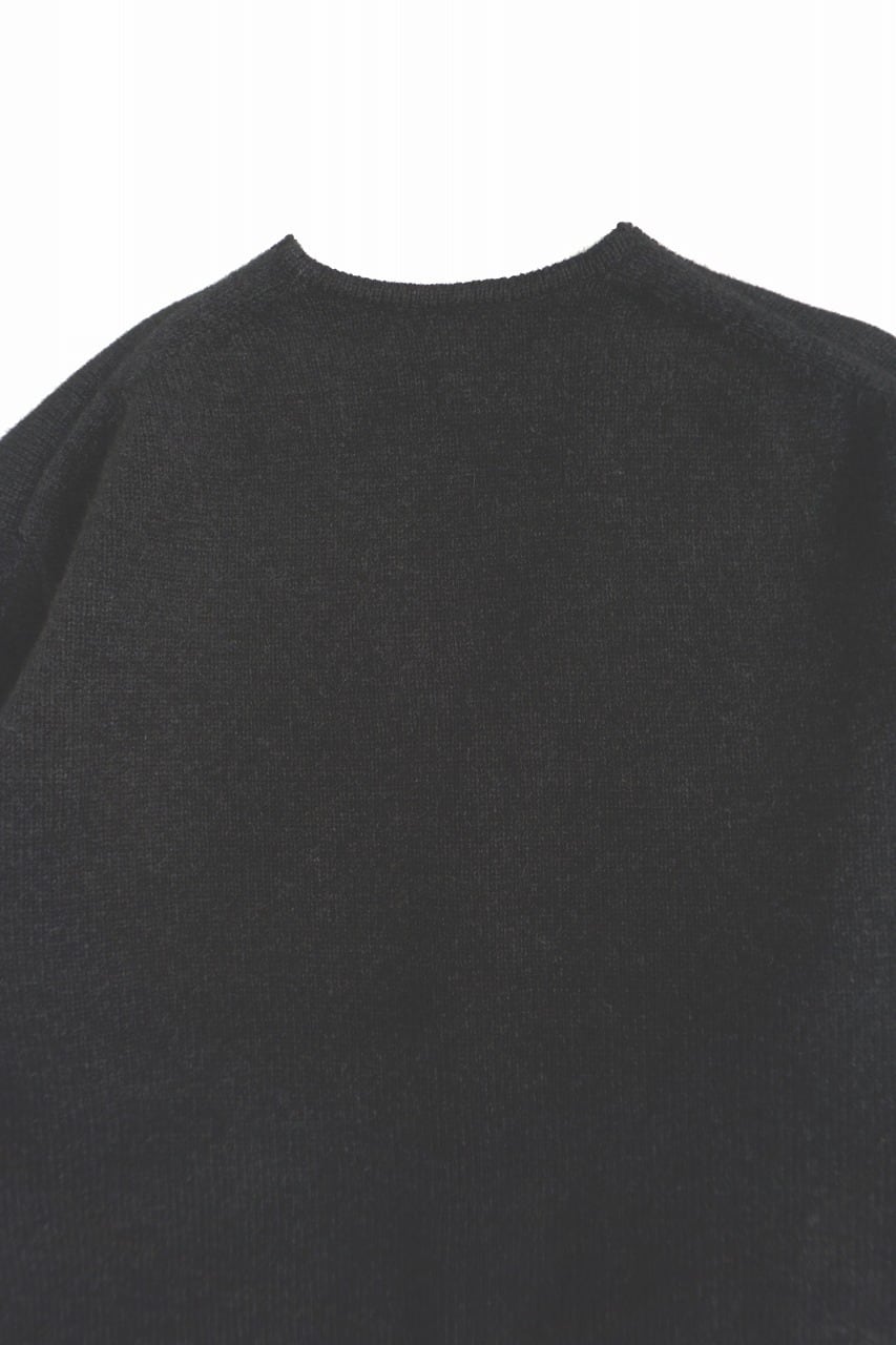 Hand Framed Blue Fox C/D