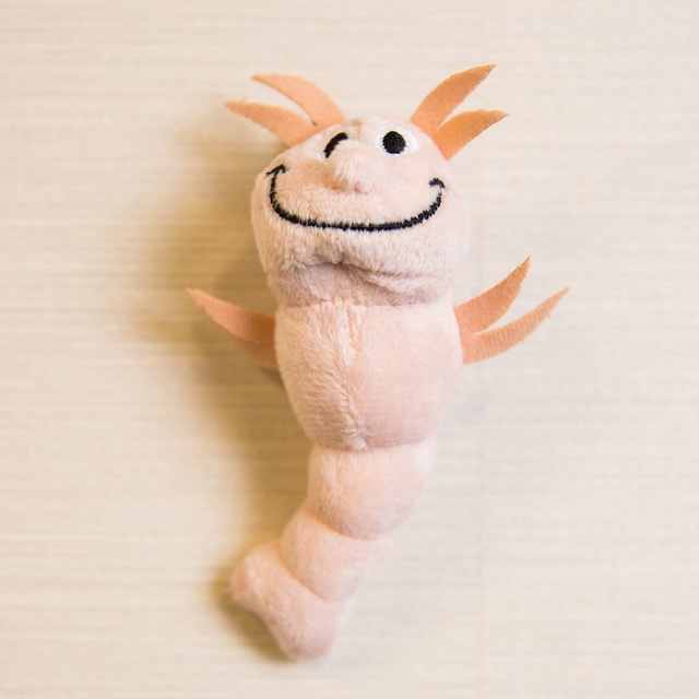 Mini Shrimp Magnet Plush