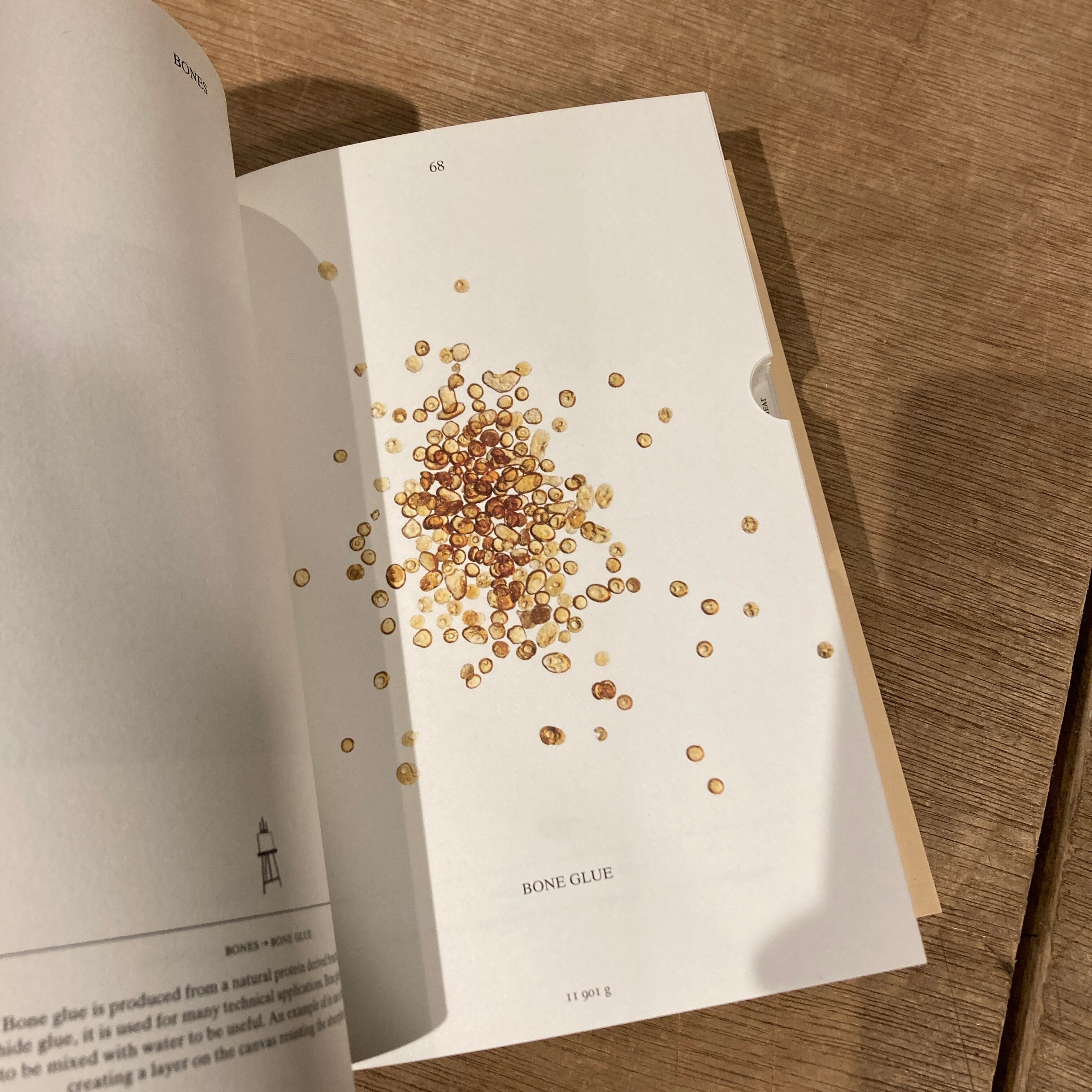 PIG 05049 / Christien Meindertsma | 百年