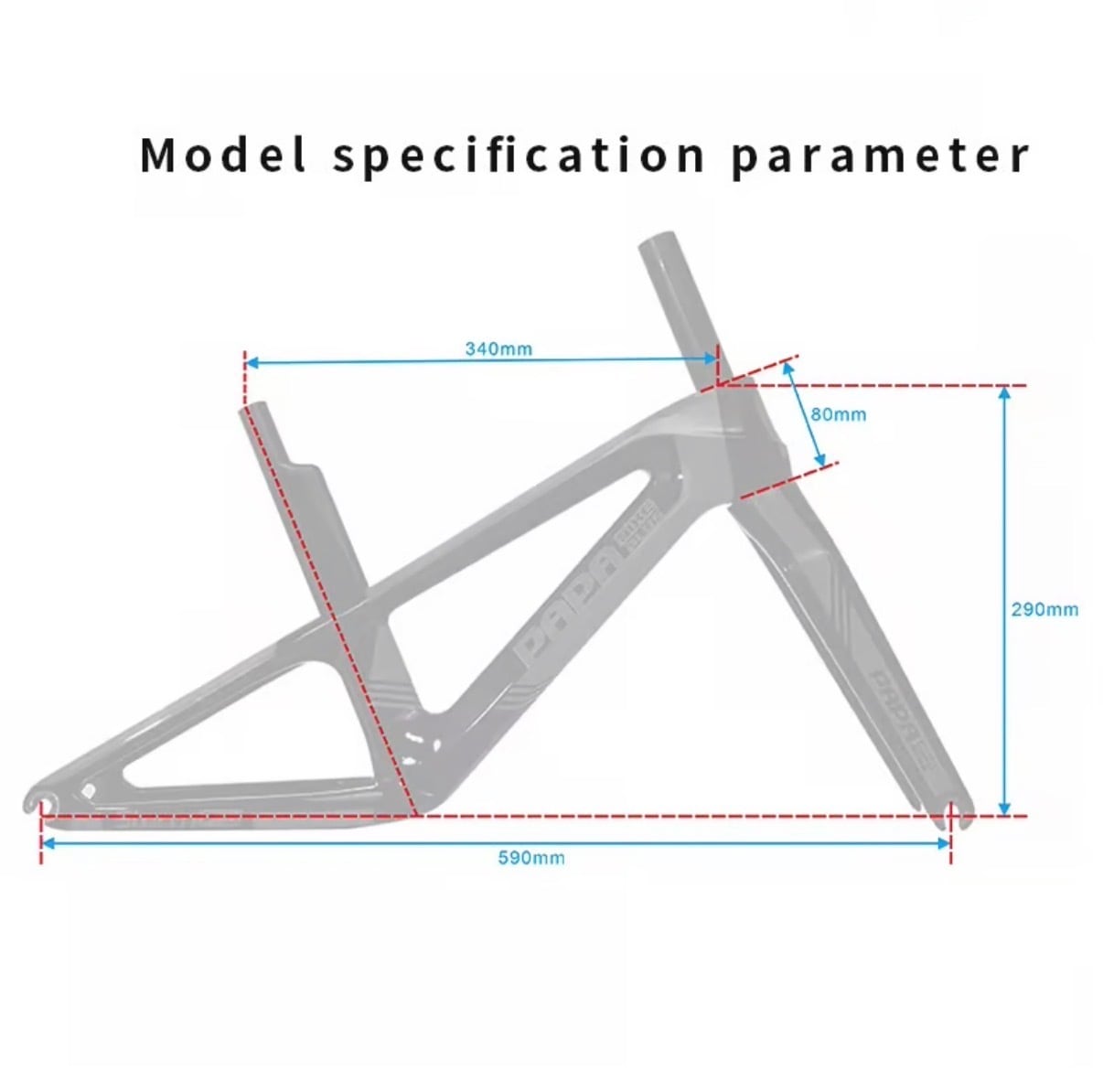 ➖ STORM PRO ➖ PAPABIKE CARBON FRAME | sparkle2021
