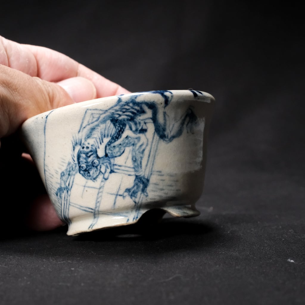 Q鉢 しょうけら | bonsaiQ store