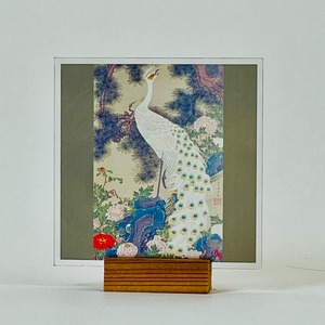 伊藤若冲　老松孔雀図 / Peacock under an Old Pine Tree